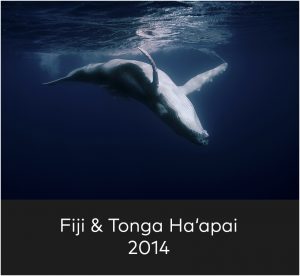 Fiji & Tonga Ha'apai 2014