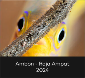 Gallerie Overview indonesia24