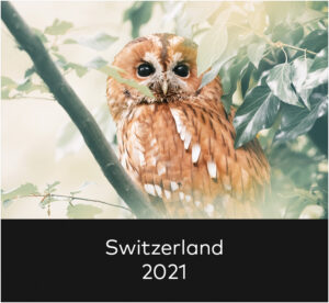 Switzelrand 2021 Home