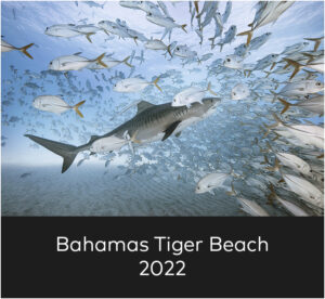 bahamas home 2022