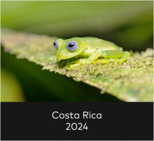 costarica
