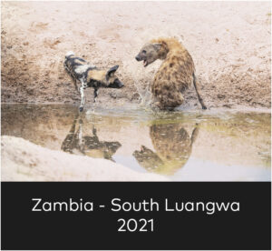 home zambia