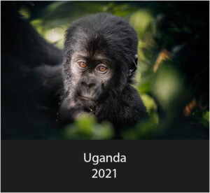 uganda home animal 2021