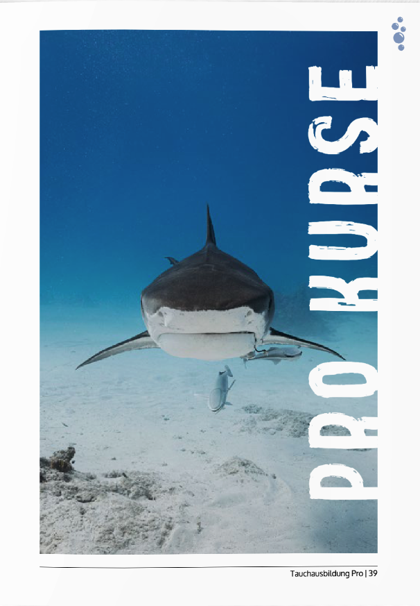 Bildschirmfoto 2025-06-27 um 12.43.08