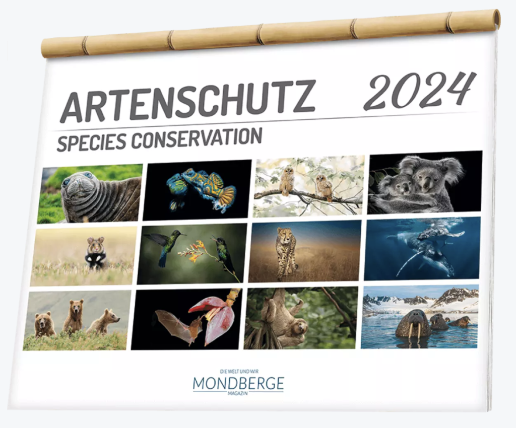 Mondberge Kalender 2024